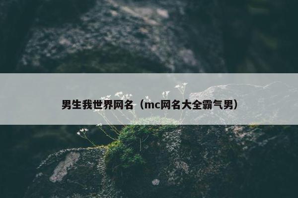 男生我世界网名（mc网名大全霸气男）