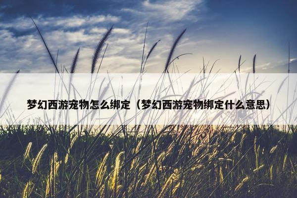 梦幻西游宠物怎么绑定（梦幻西游宠物绑定什么意思）