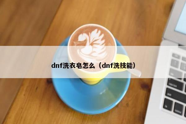 dnf洗衣皂怎么（dnf洗技能）