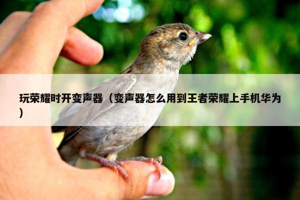玩荣耀时开变声器（变声器怎么用到王者荣耀上手机华为）