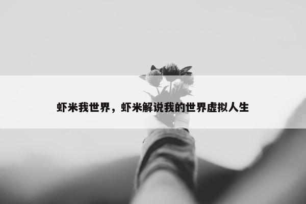 虾米我世界，虾米解说我的世界虚拟人生