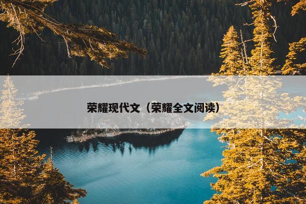 荣耀现代文（荣耀全文阅读）