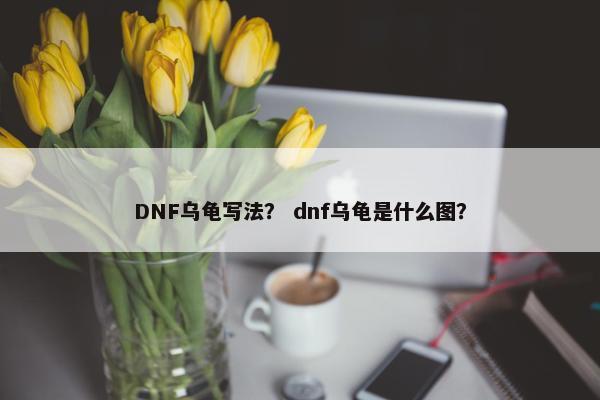 DNF乌龟写法？ dnf乌龟是什么图？
