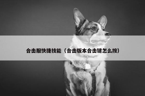 合击服快捷技能（合击版本合击键怎么按）