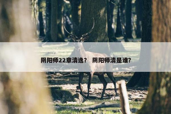 阴阳师22章清逸？ 阴阳师清是谁？