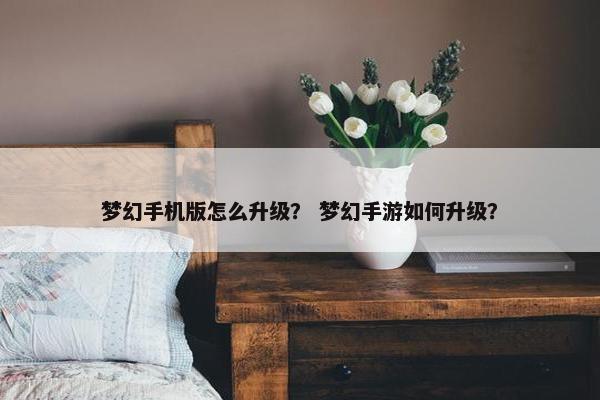 梦幻手机版怎么升级？ 梦幻手游如何升级？