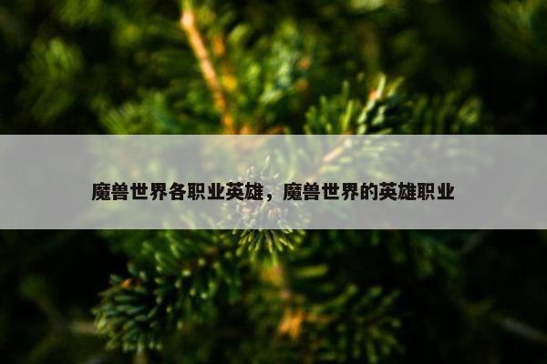 魔兽世界各职业英雄，魔兽世界的英雄职业