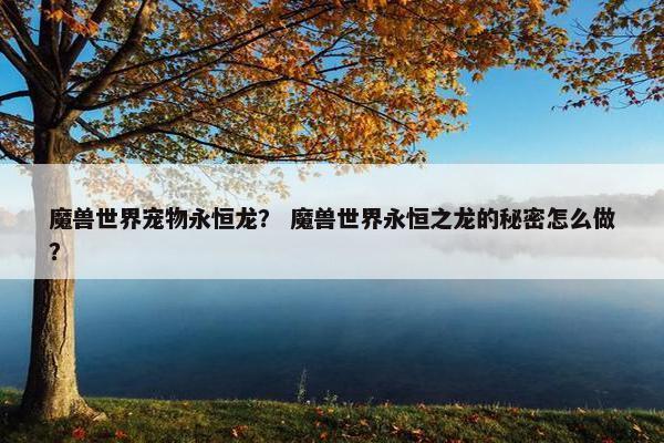 魔兽世界宠物永恒龙？ 魔兽世界永恒之龙的秘密怎么做？
