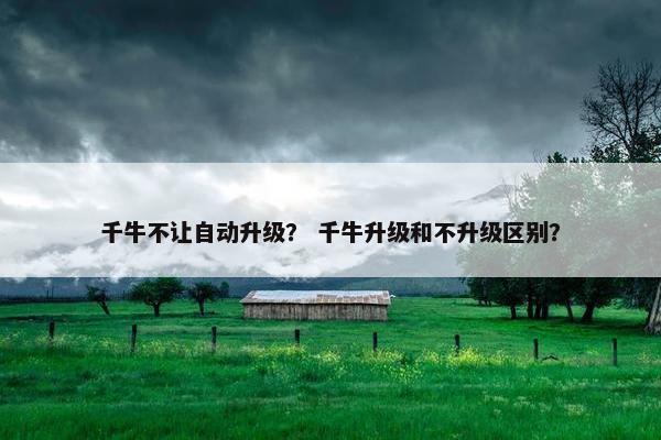 千牛不让自动升级？ 千牛升级和不升级区别？