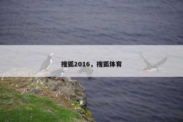 搜狐2016，搜狐体育