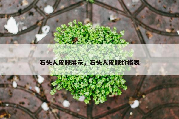 石头人皮肤展示，石头人皮肤价格表