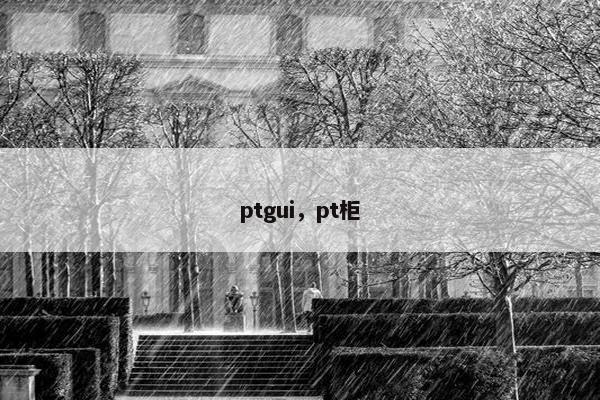 ptgui，pt柜
