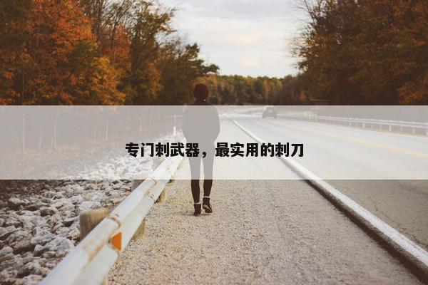 专门刺武器，最实用的刺刀