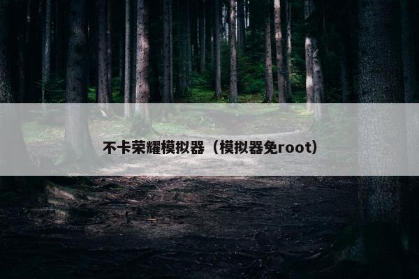 不卡荣耀模拟器（模拟器免root）