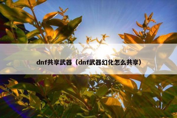 dnf共享武器（dnf武器幻化怎么共享）