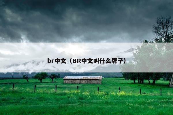 br中文（BR中文叫什么牌子）