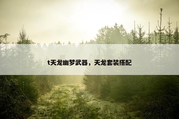 t天龙幽梦武器，天龙套装搭配