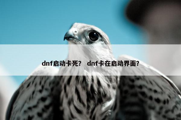 dnf启动卡死？ dnf卡在启动界面？