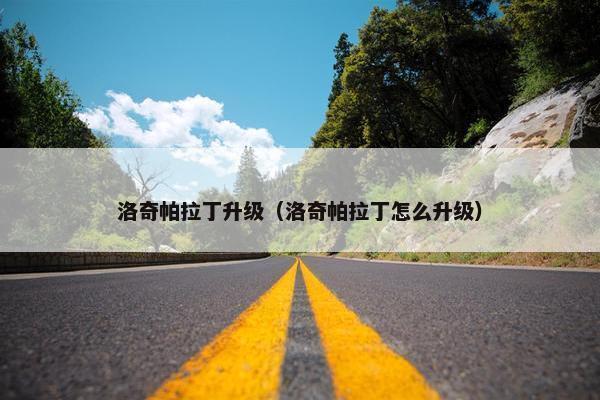 洛奇帕拉丁升级（洛奇帕拉丁怎么升级）