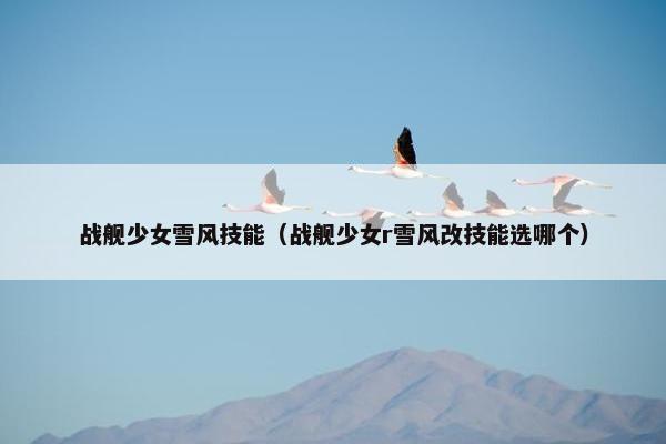 战舰少女雪风技能（战舰少女r雪风改技能选哪个）