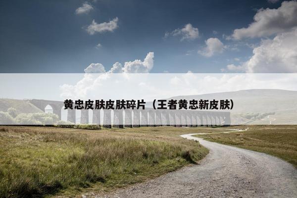 黄忠皮肤皮肤碎片（王者黄忠新皮肤）