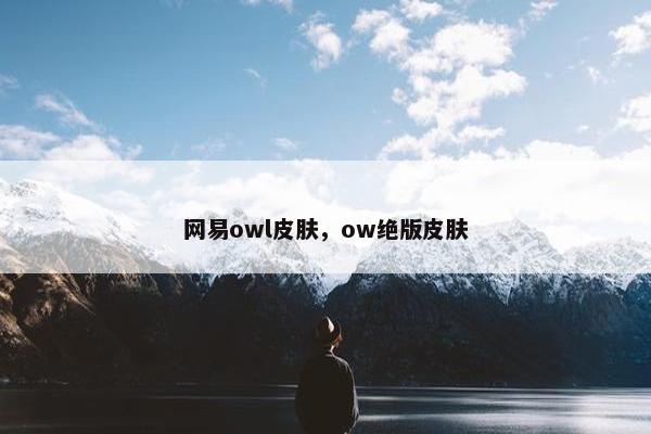网易owl皮肤，ow绝版皮肤