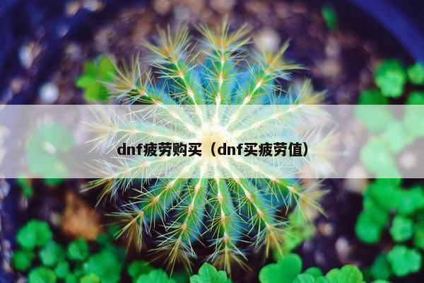 dnf疲劳购买（dnf买疲劳值）