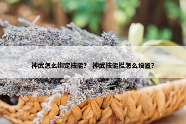 神武怎么绑定技能？ 神武技能栏怎么设置？