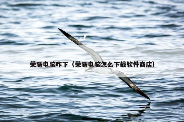荣耀电脑咋下（荣耀电脑怎么下载软件商店）