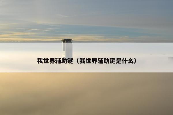 我世界辅助键（我世界辅助键是什么）