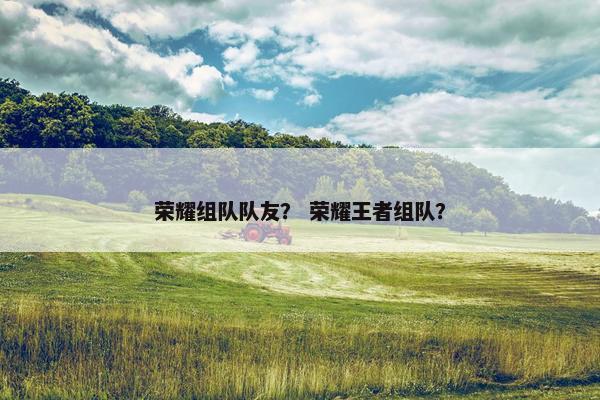 荣耀组队队友？ 荣耀王者组队？