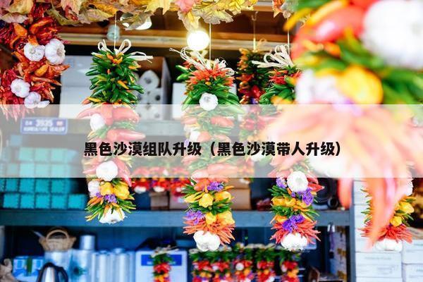 黑色沙漠组队升级（黑色沙漠带人升级）