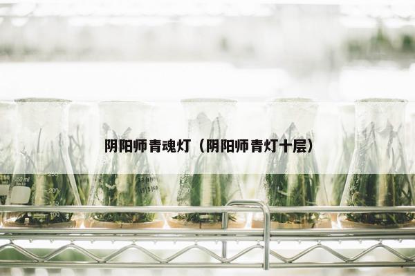 阴阳师青魂灯（阴阳师青灯十层）