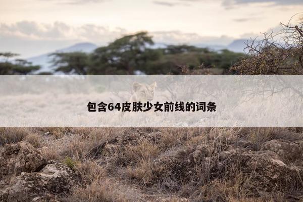 包含64皮肤少女前线的词条