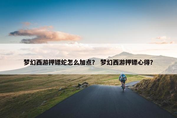 梦幻西游押镖蛇怎么加点？ 梦幻西游押镖心得？