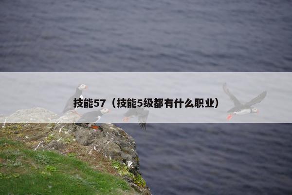 技能57（技能5级都有什么职业）