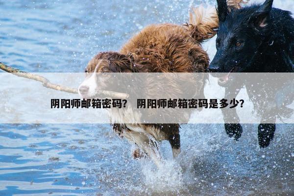 阴阳师邮箱密码？ 阴阳师邮箱密码是多少？