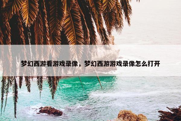 梦幻西游看游戏录像，梦幻西游游戏录像怎么打开