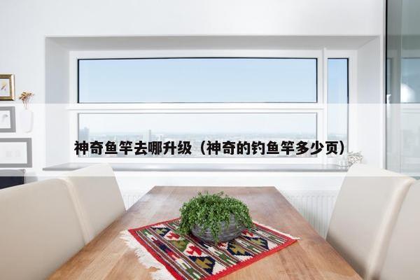 神奇鱼竿去哪升级（神奇的钓鱼竿多少页）