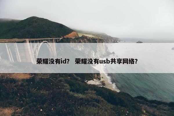 荣耀没有id？ 荣耀没有usb共享网络？