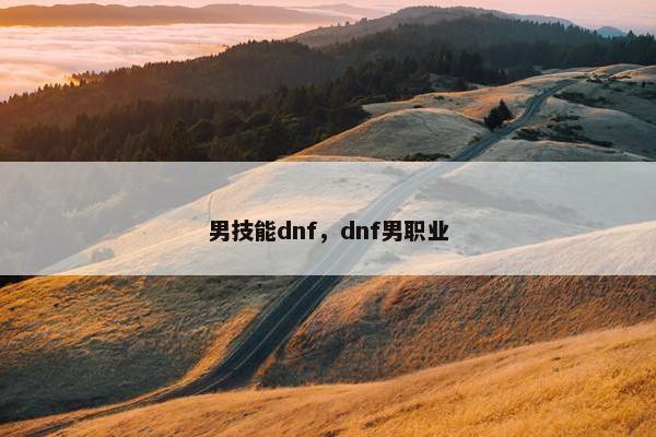 男技能dnf，dnf男职业