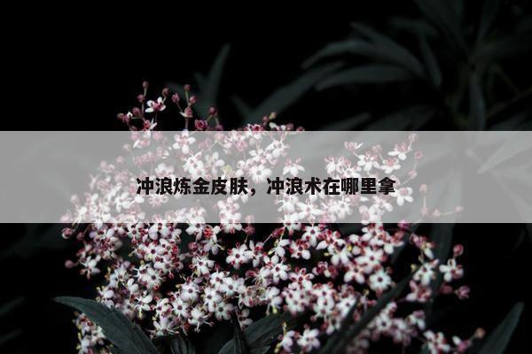 冲浪炼金皮肤，冲浪术在哪里拿