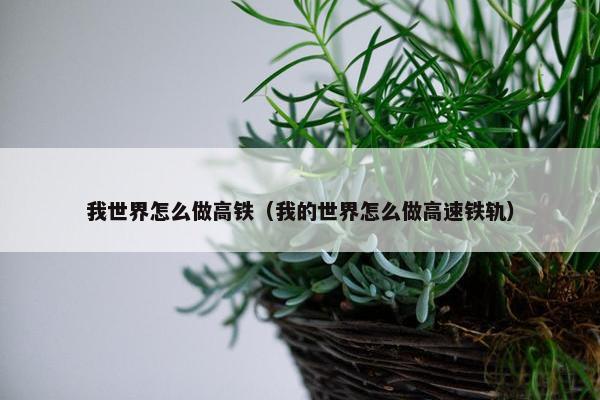 我世界怎么做高铁(我的世界怎么做高速铁轨) 我世界怎么做高铁(我的世界怎么做高速铁轨)