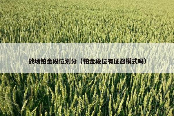 战场铂金段位划分（铂金段位有征召模式吗）
