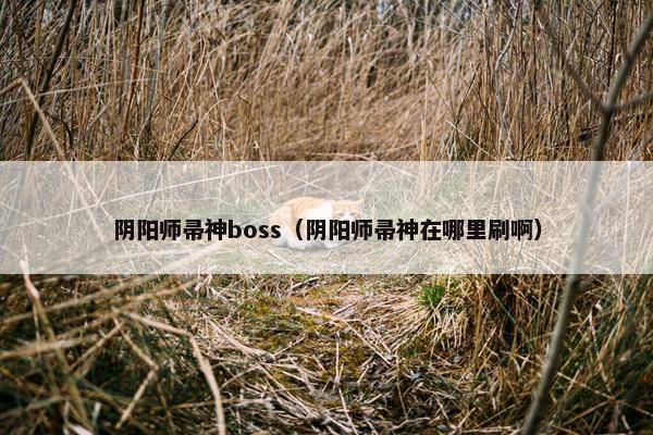 阴阳师帚神boss（阴阳师帚神在哪里刷啊）