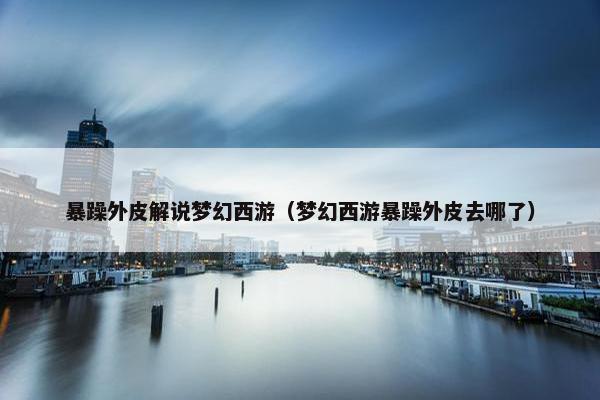 暴躁外皮解说梦幻西游（梦幻西游暴躁外皮去哪了）