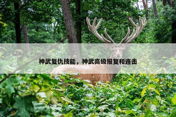 神武复仇技能，神武高级报复和连击