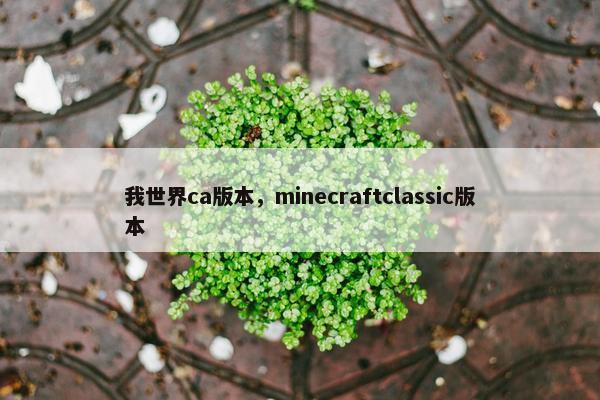 我世界ca版本，minecraftclassic版本