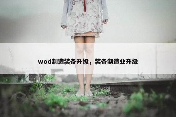 wod制造装备升级，装备制造业升级