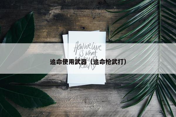 追命使用武器（追命枪武打）